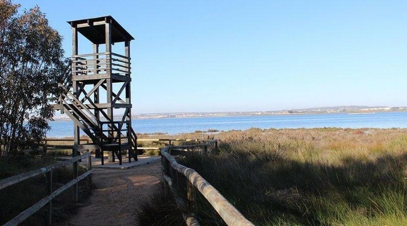 Apartamento Vistas La Mata Playa Zewnętrze zdjęcie